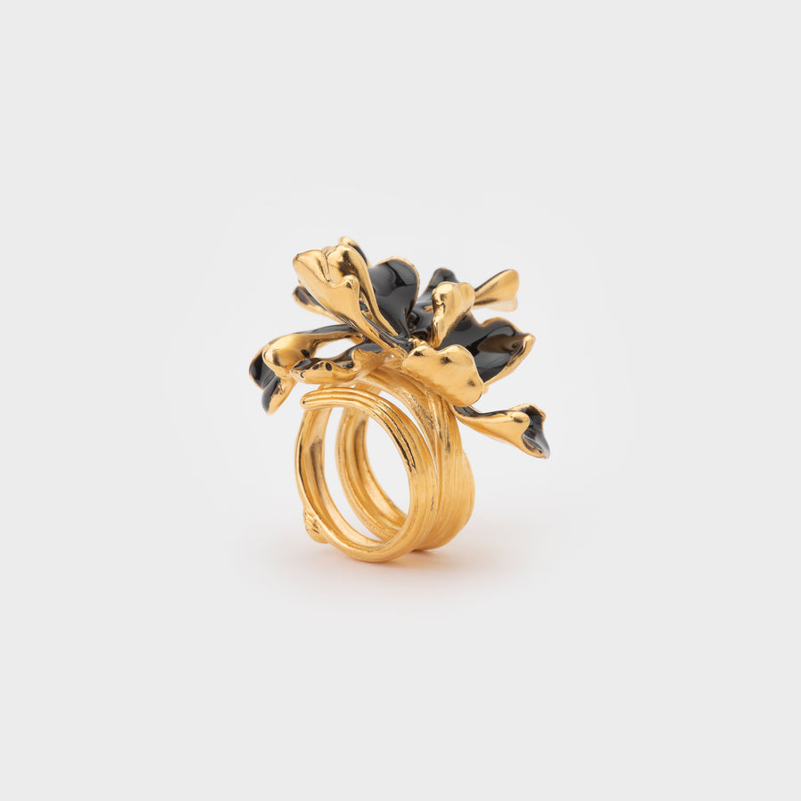 WS ring PASSY gold/black