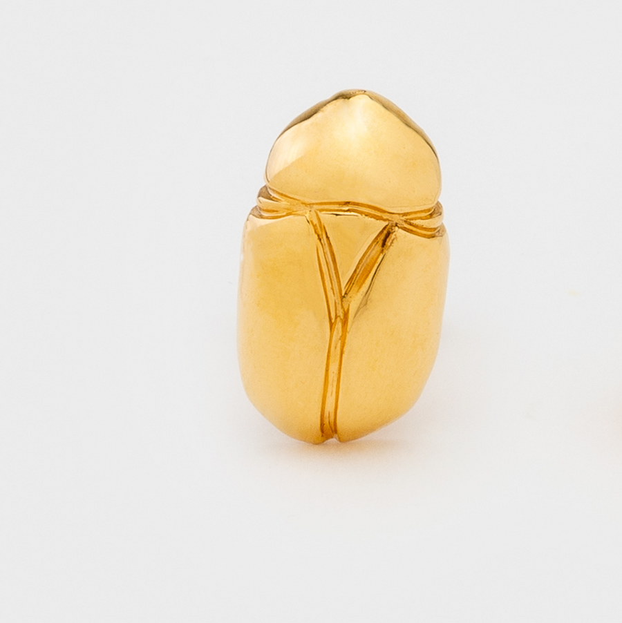Pin's Scarabée