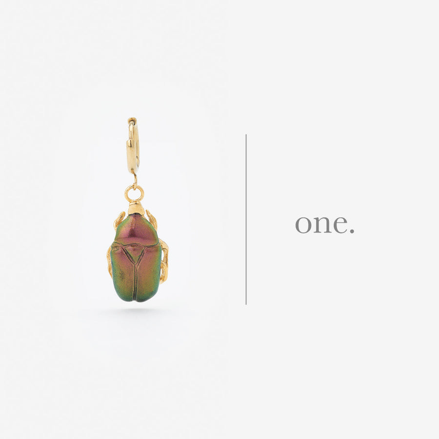 SOLO boucle d'oreille Beetle