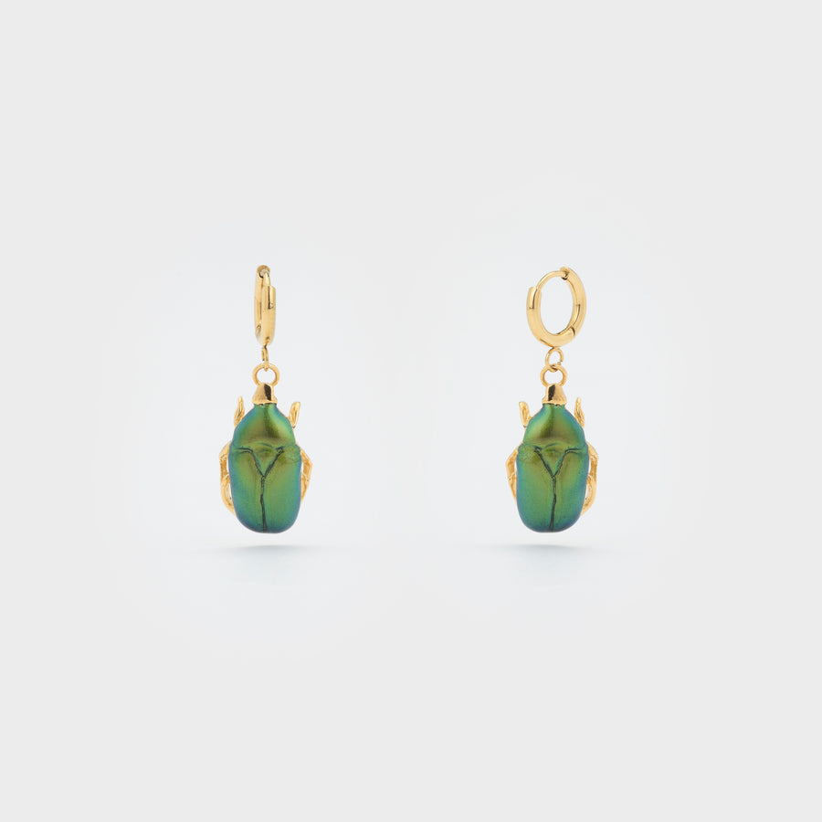 Boucles d'oreilles Beetle Créoles