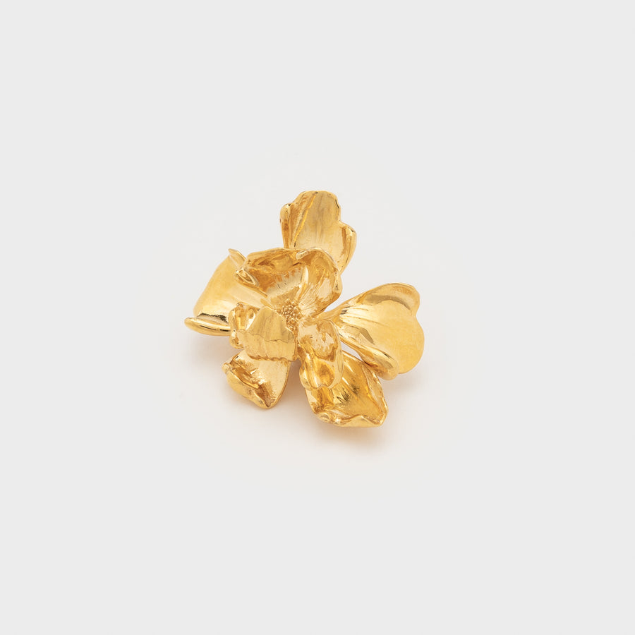 Broche Lucy Doré