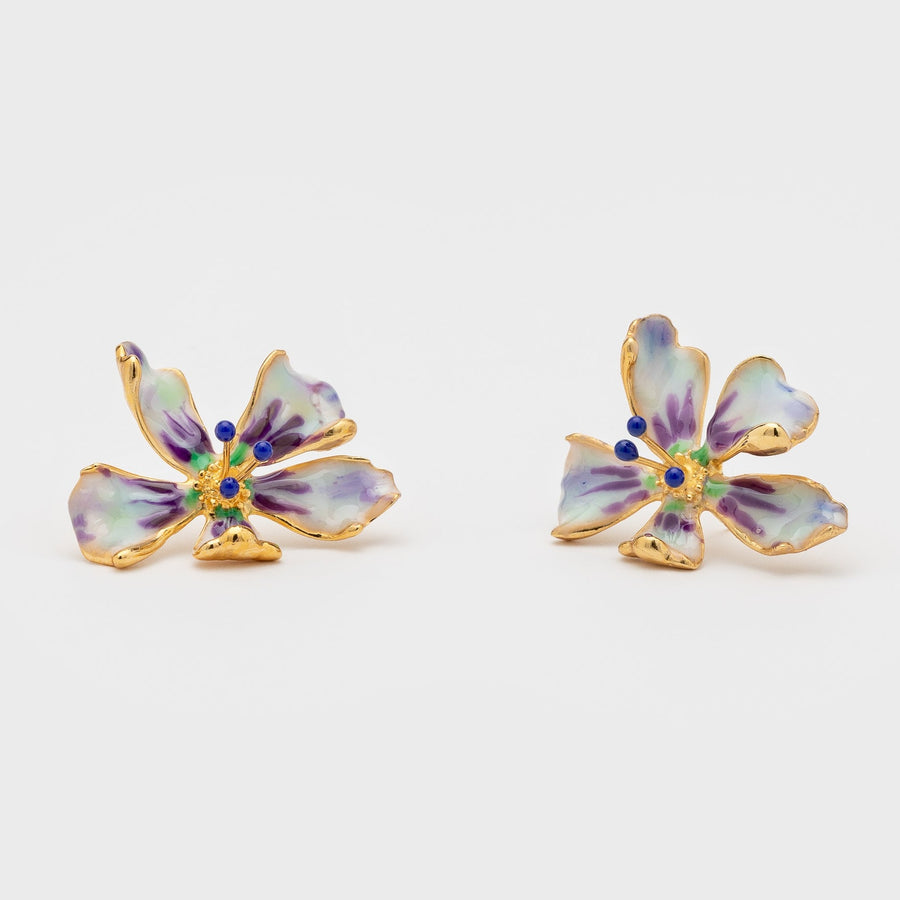 Boucles d'oreilles PASSY