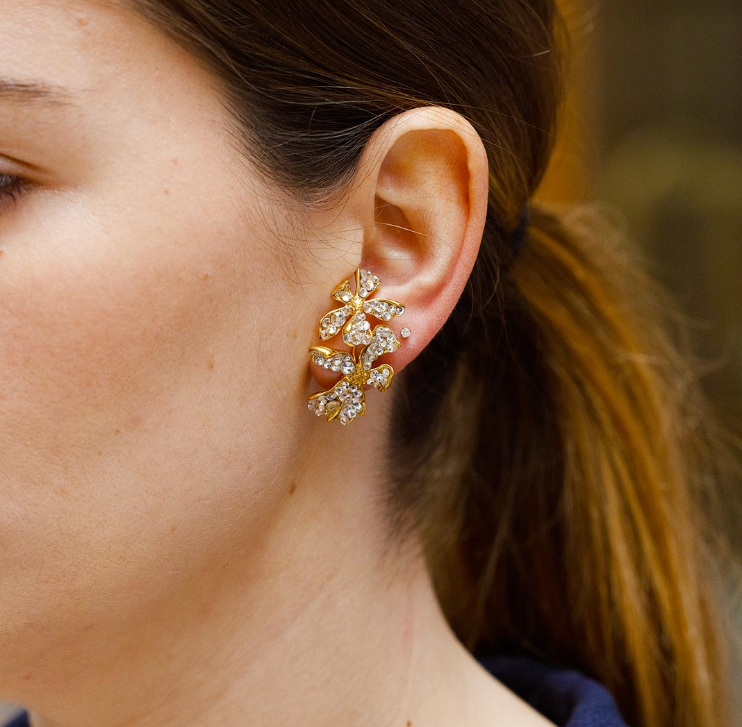 Boucles d'oreilles Berry Clou Silver Strass