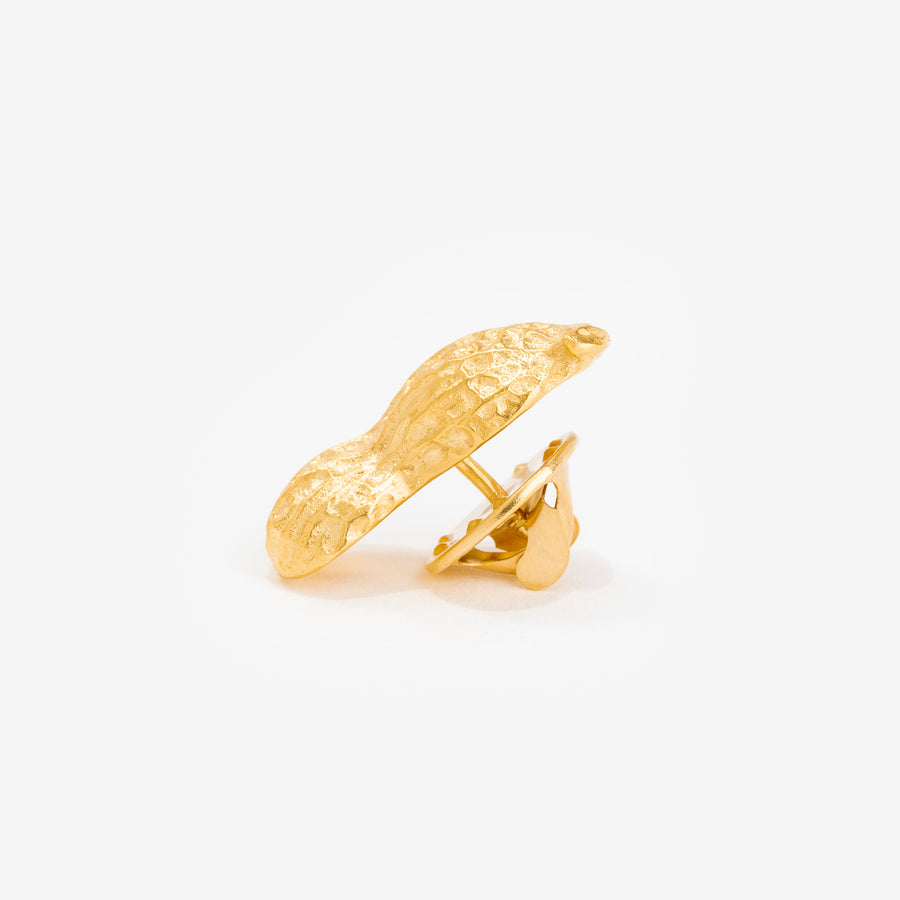 Pin's Cacahuette