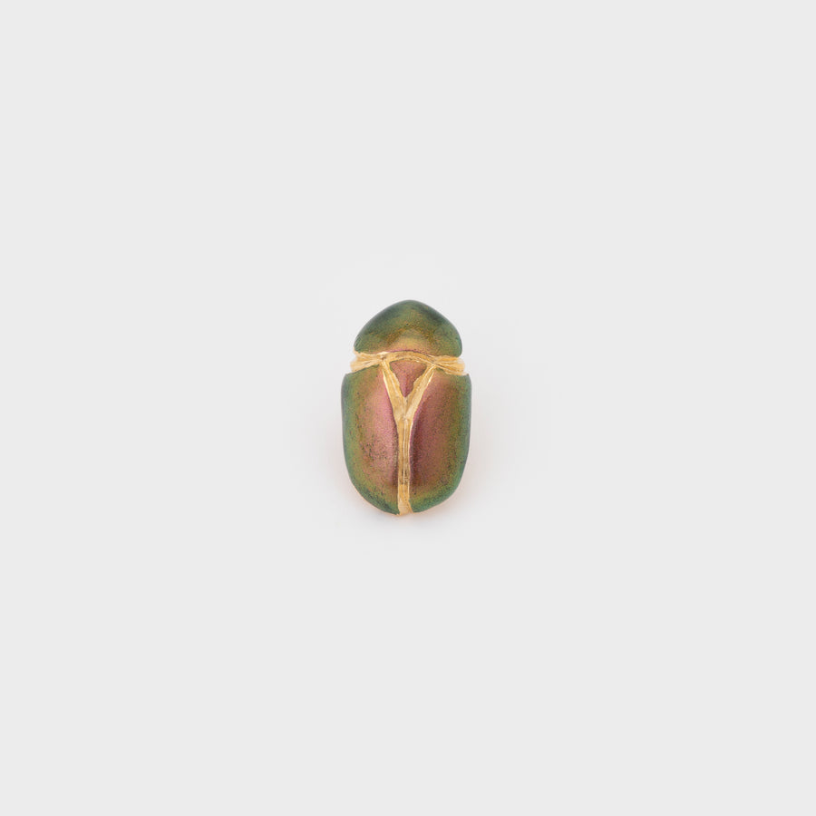 Pin's Scarabée