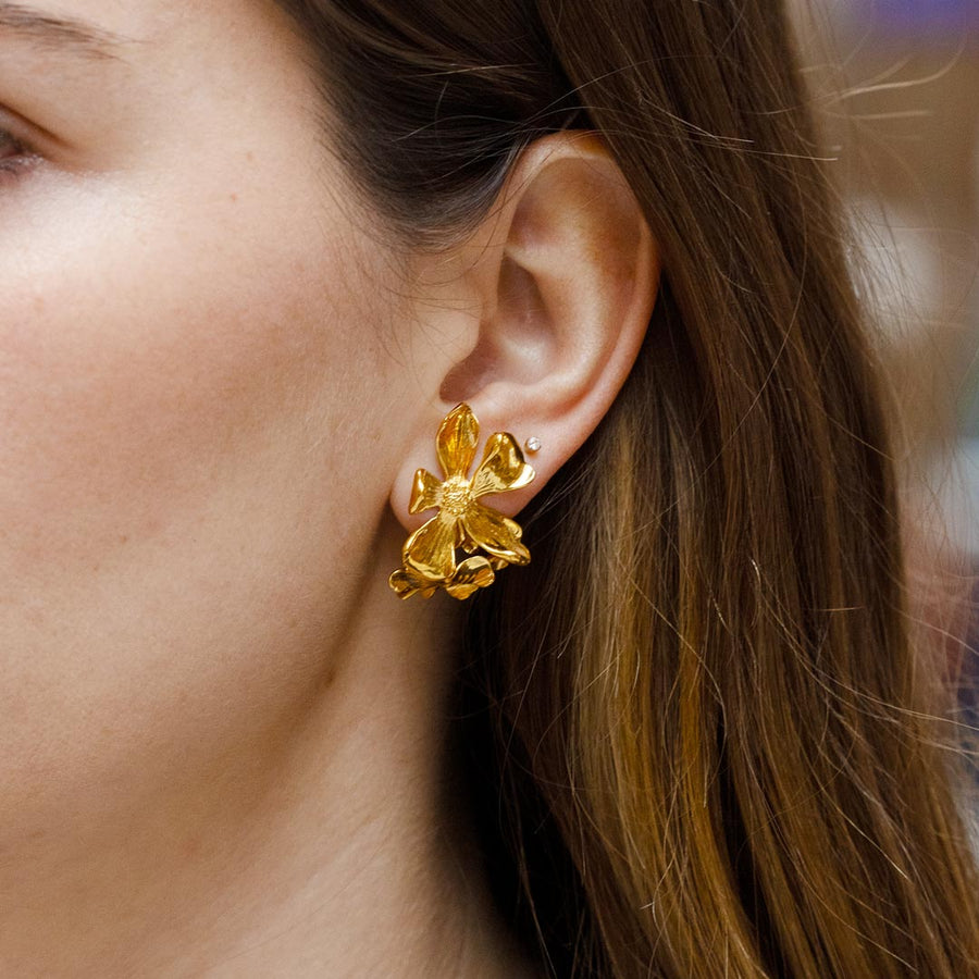 BOUCLES D'OREILLES BERRY CLOU OR